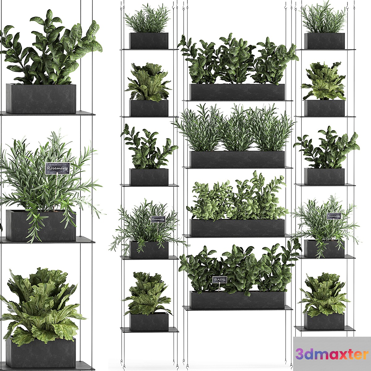 Vertical gardening home garden kitchen garden shelf suspension with plants phytosten phytomodule. Set 63. 3D Max