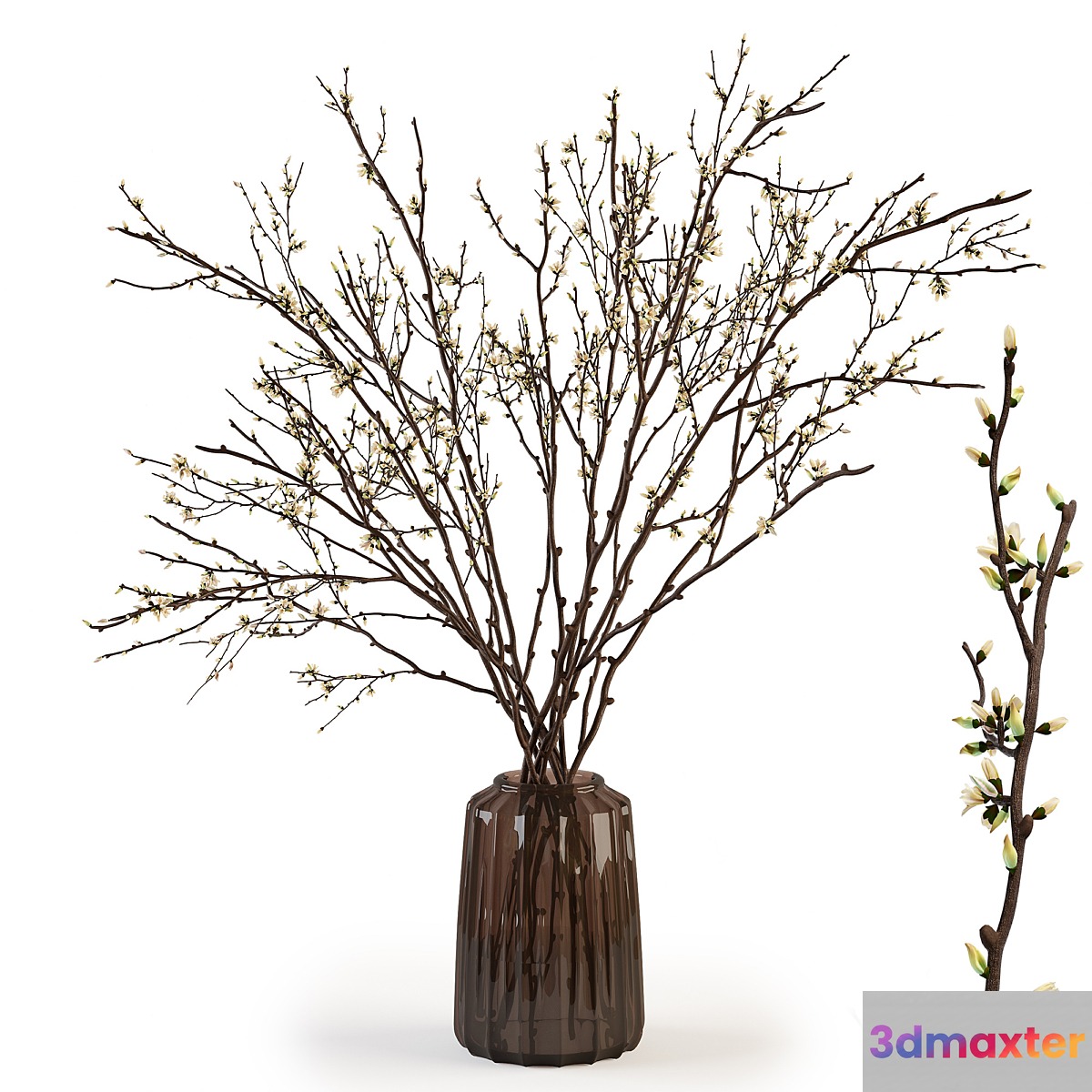 Branches in a vase 015