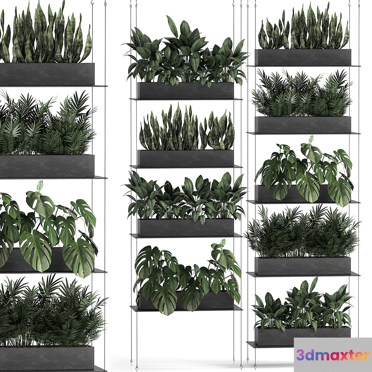 Vertical gardening of the home garden on a black flower shelf with a Monstera a phytosten a phytomodule. Set of 64 3D Max