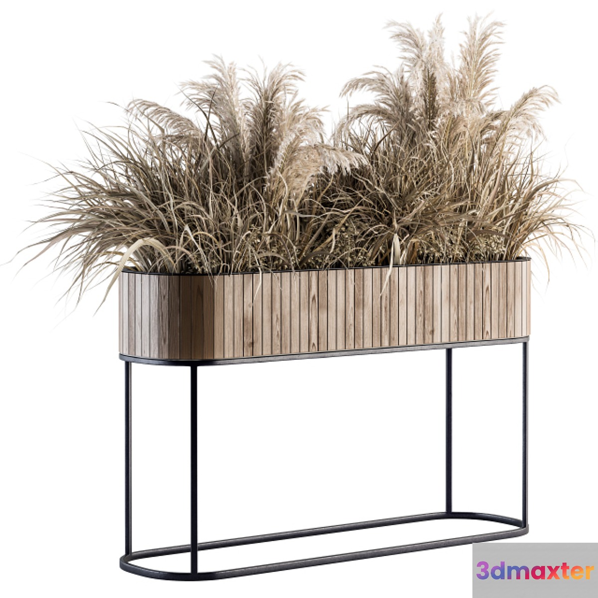 indoor Plant Set 122- Dried Plants in Wood Stand 3D Max