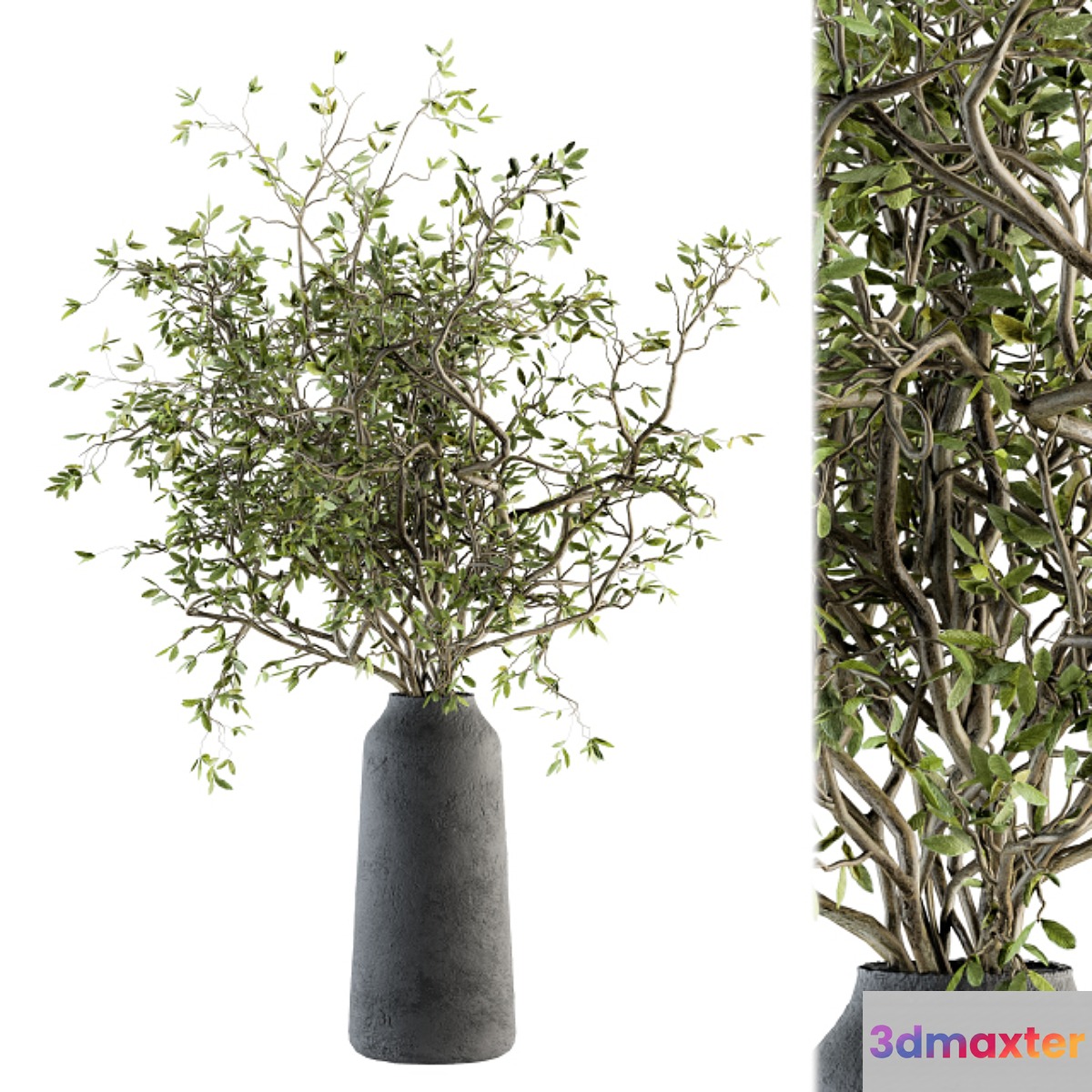 Bouquet - Green Branch in vase 40 3D Max