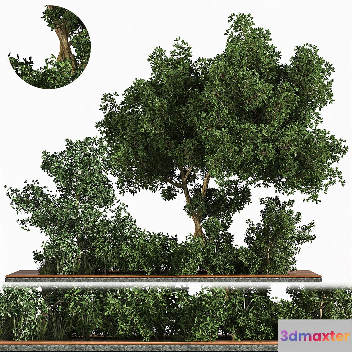 Garden Set Grass Tree 3D Max