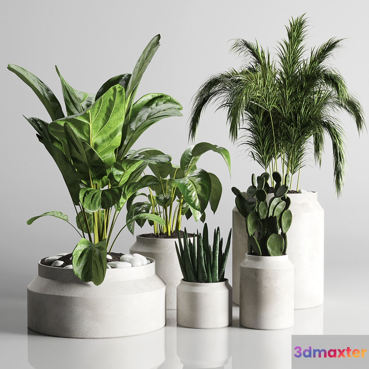 collection Indoor plant 33-concrate vase