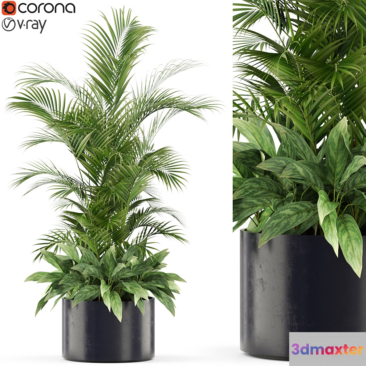 Plants collection 459 3D Max