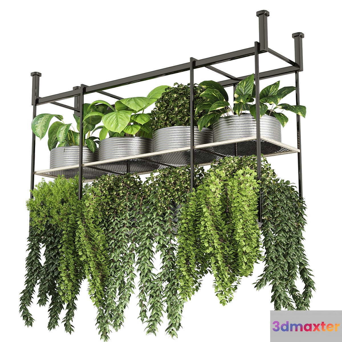 collection Indoor plants hanging pot-metal bax vase 04 3D Max