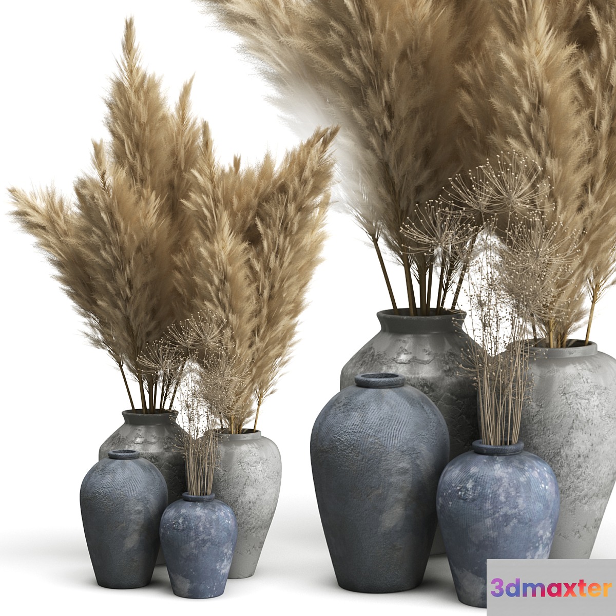 Decorative set of Clay Vases and Pampas Grass 3D Max