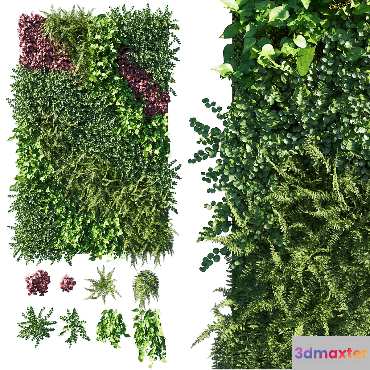 Vertical Garden Green Wall 09 3D Max