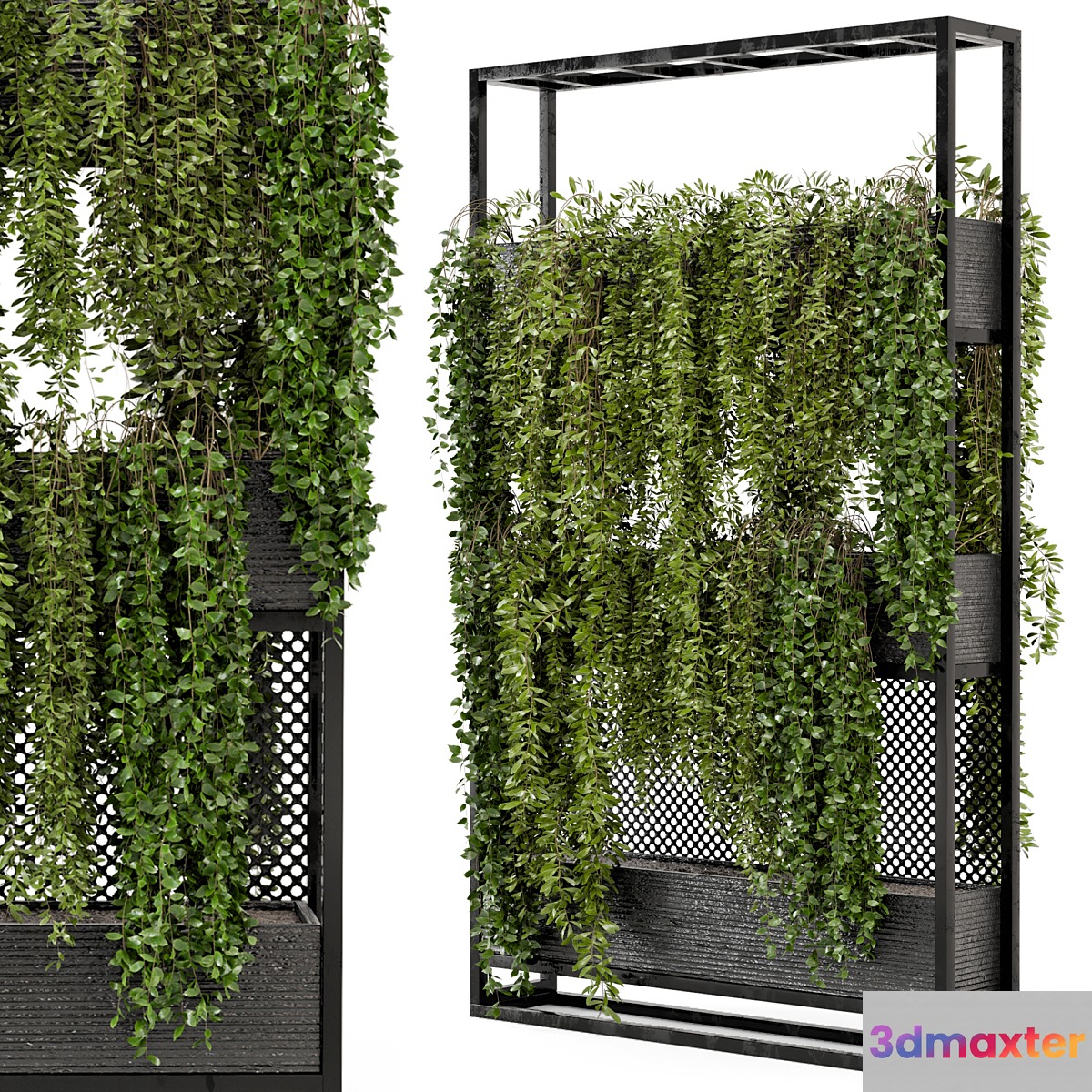 Indoor Hanging Plants in Metal Stand - Set 100 3D Max