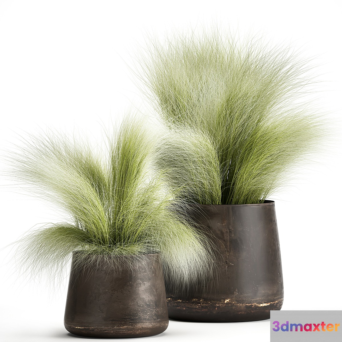 Collection of plants of fluffy bushes in outdoor pots Grass grass hummock. Set 908. 3D Max