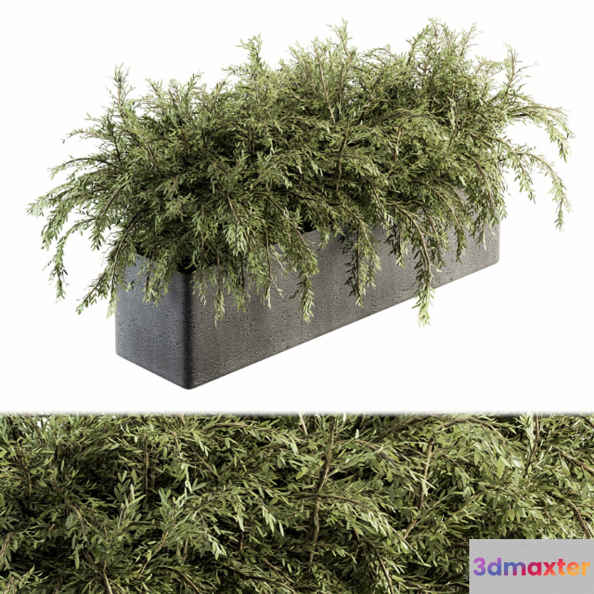 Outdoor Plant Set 180 - Plant in Pot - No.2 3D Max