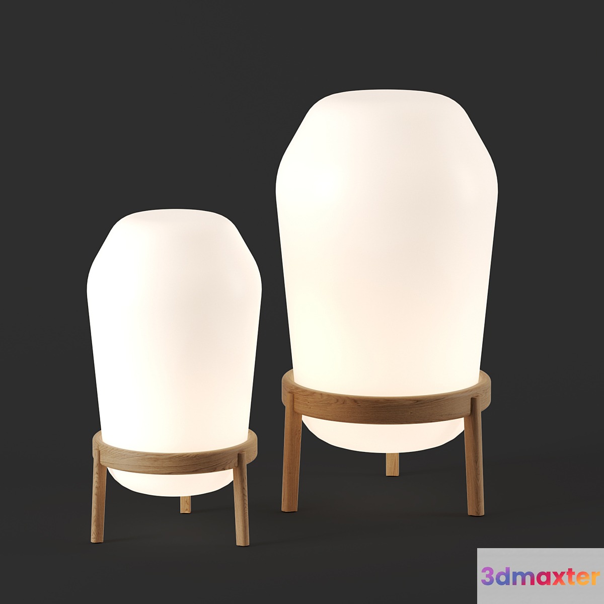 LOON floor lamp by Dedon 3D Max