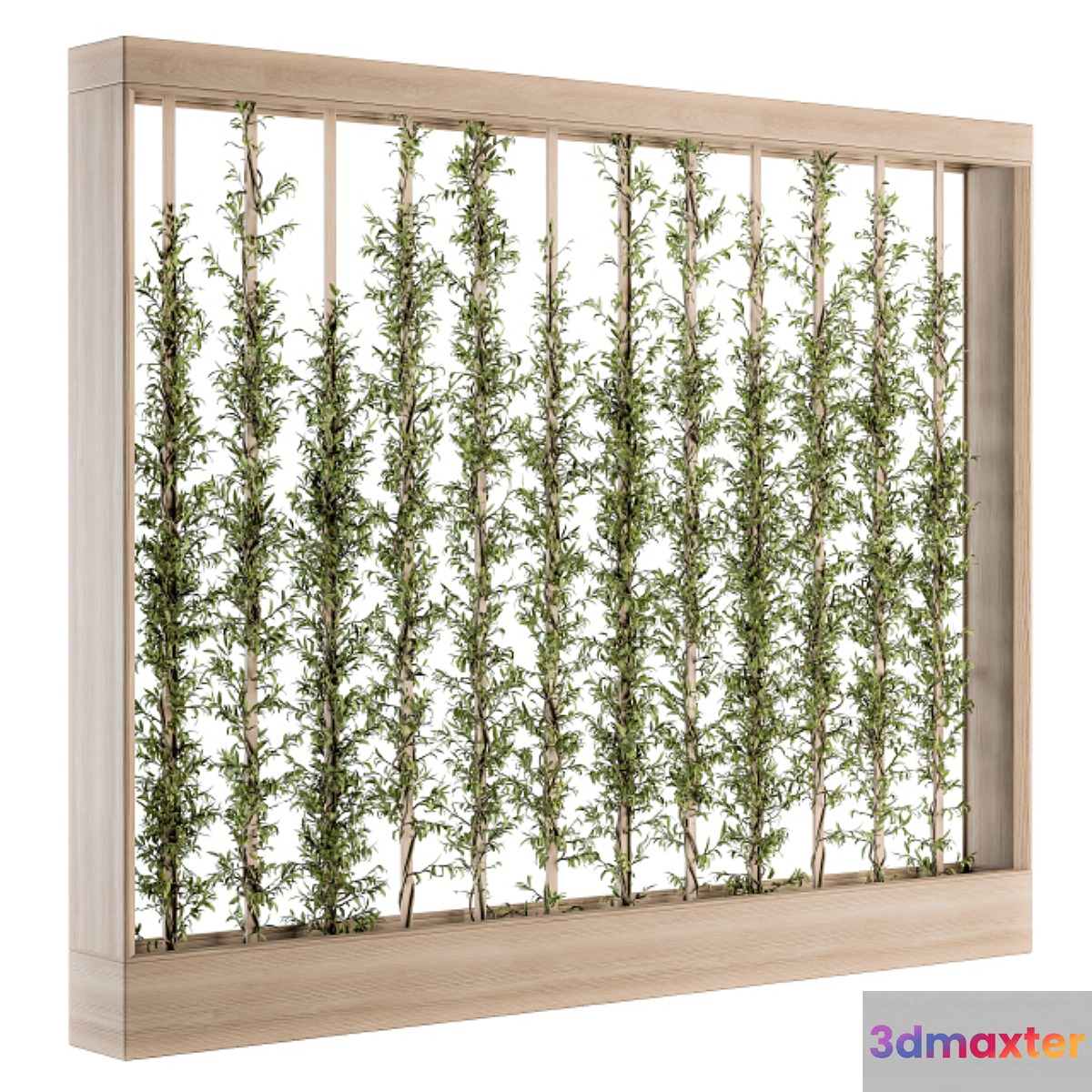 Vertical Garden Wood Frame - Plants Partition 22 3D Max