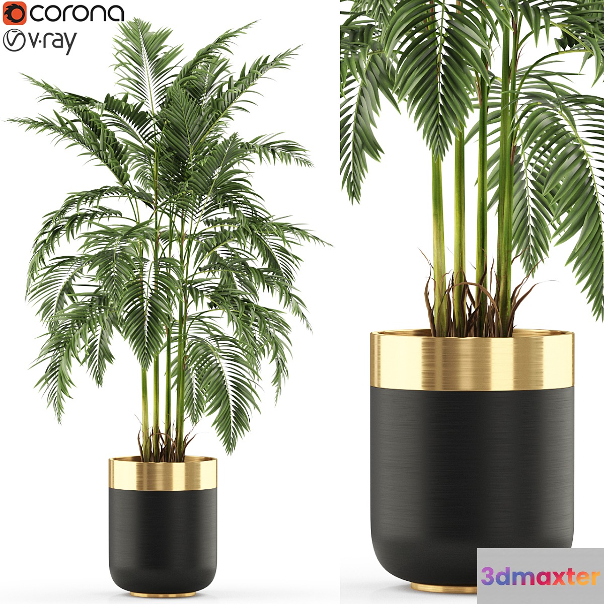 Plants collection 483 3D Max
