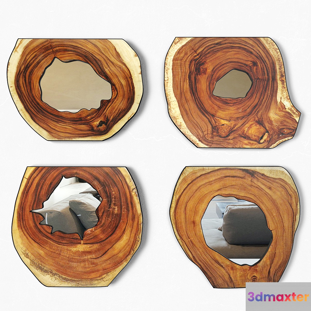 Organic Monkey Pod Mirrors 2 3D Max