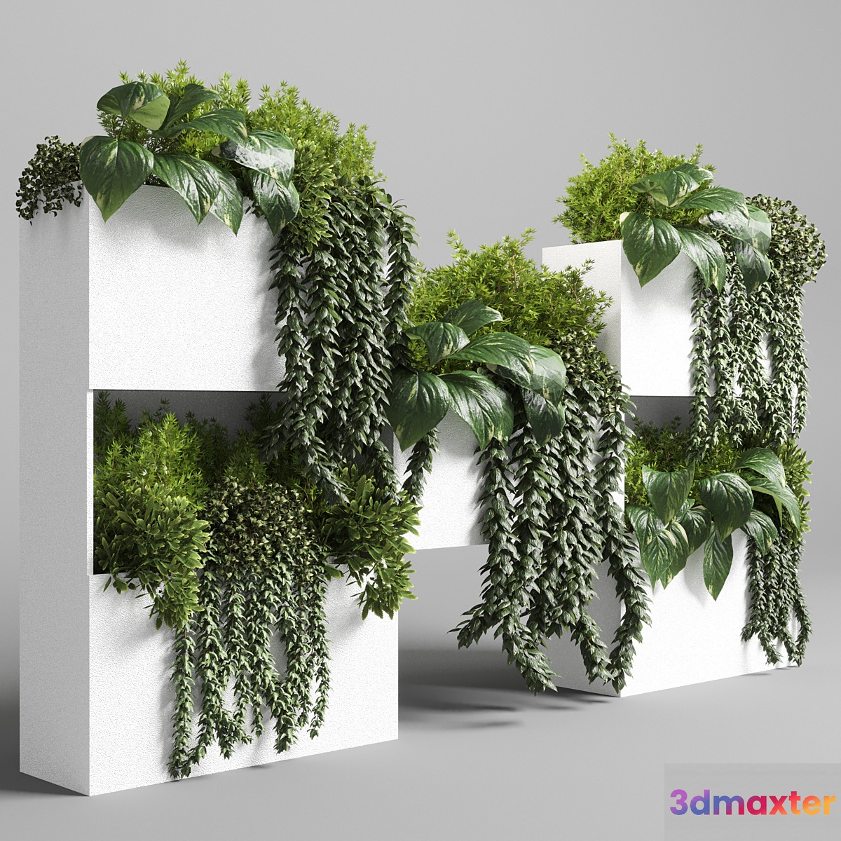Collection Indoor plant-plant stand white concrete vase set 05 3D Max