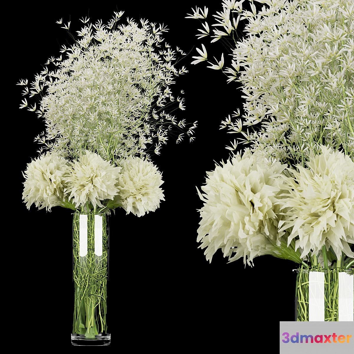 Collection plant vol 151