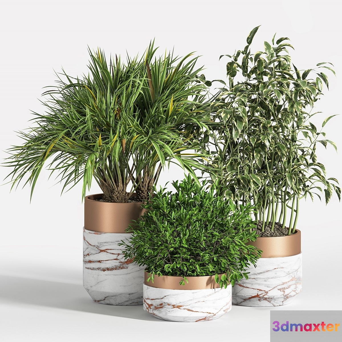 Indoor Plant Set 16 3D Max