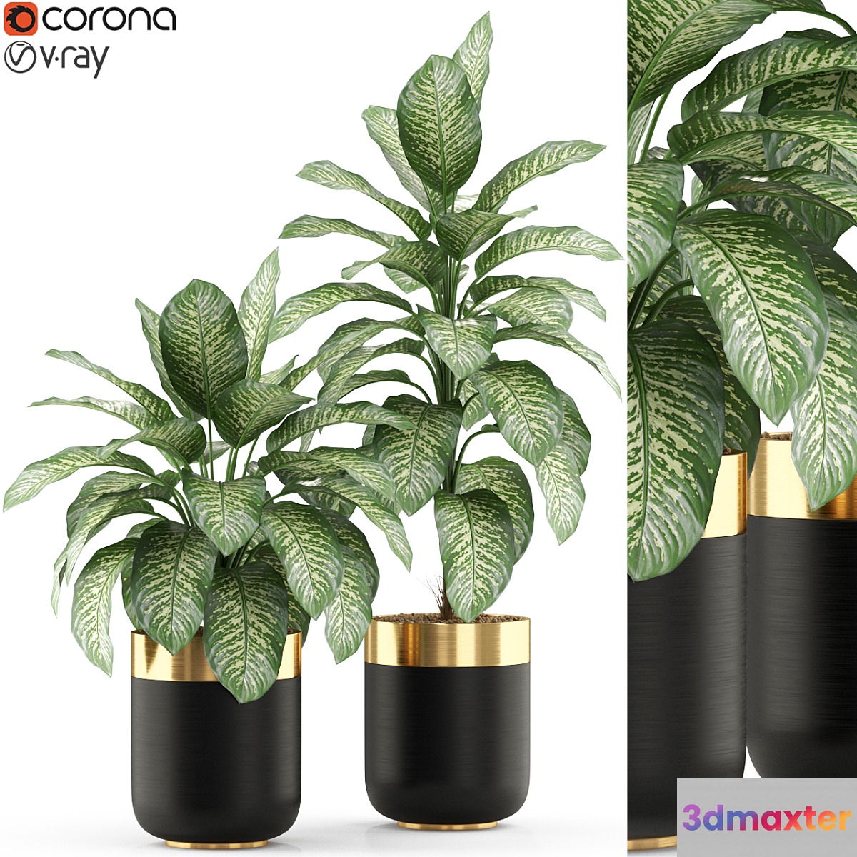 Plants collection 491 3D Max