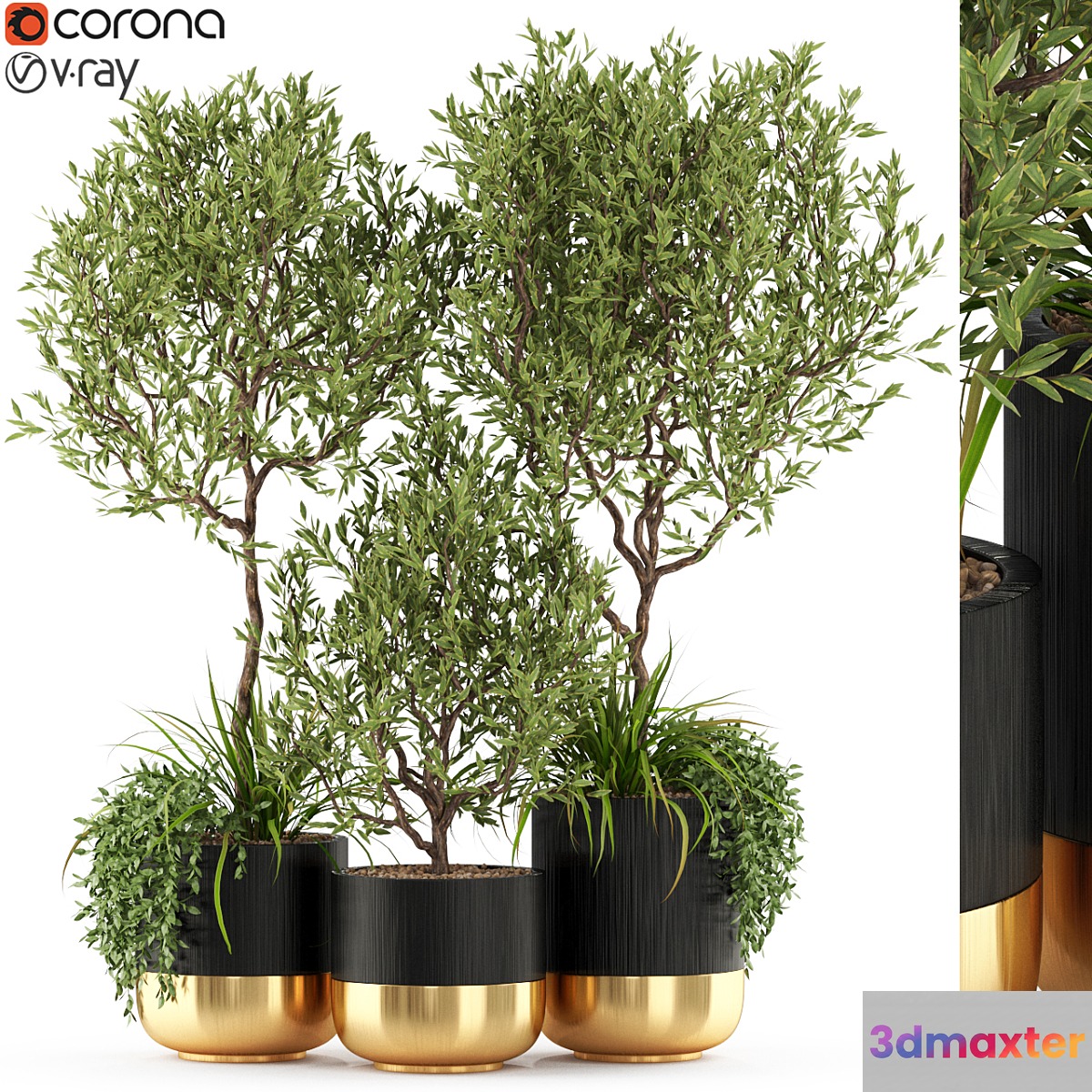 Plants collection 494 - No.2