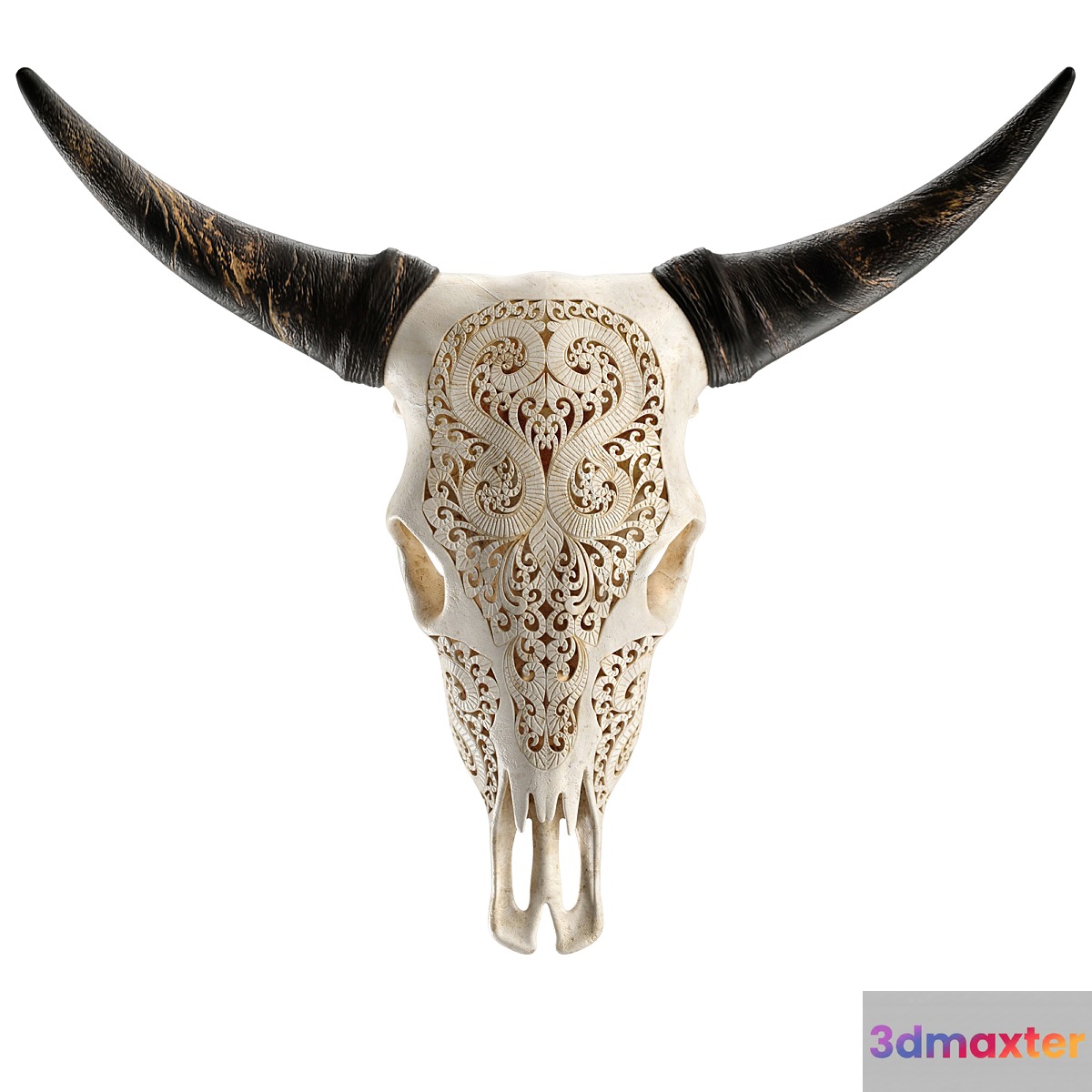Carved cow skull - No.2 3D Max