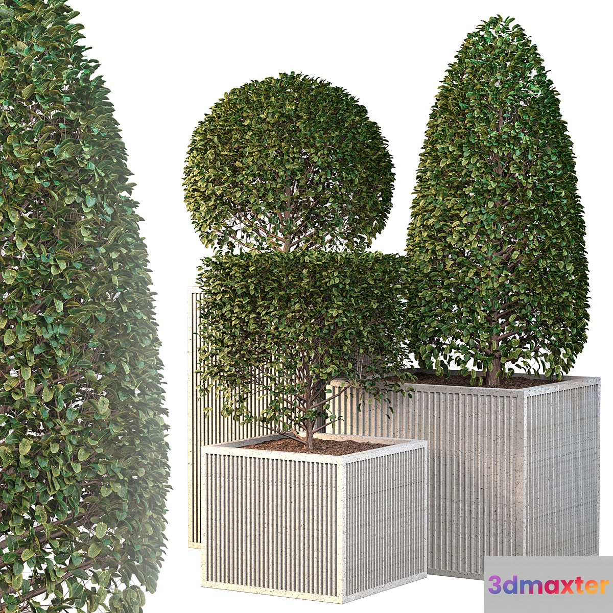 Outdoor plants - Bush vol2 3D Max