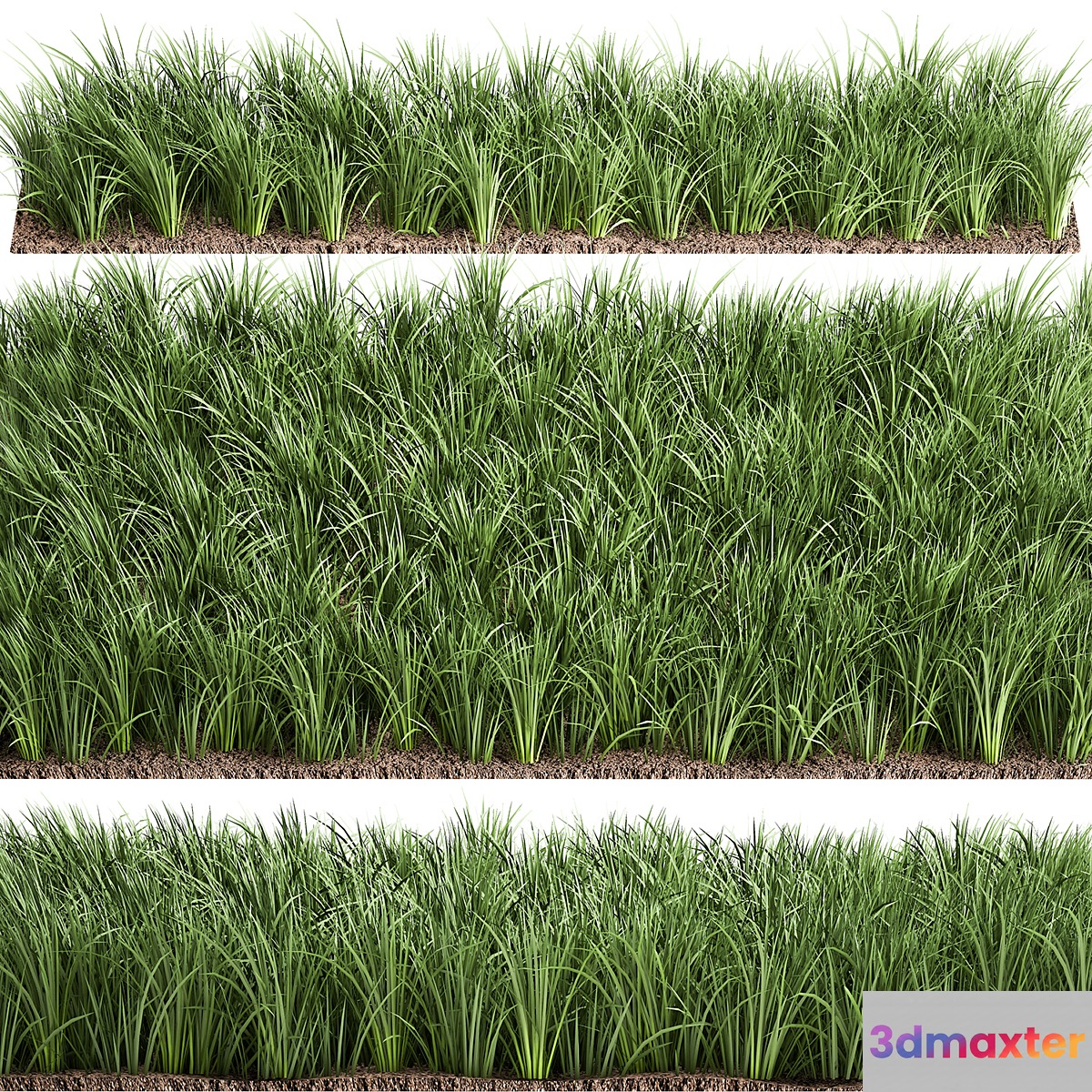 Lawn 941. grass bushes landscaping - No.2 3D Max