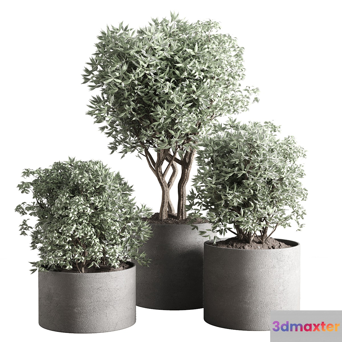 collection outdoor plant 24 concrete vase 3D Max