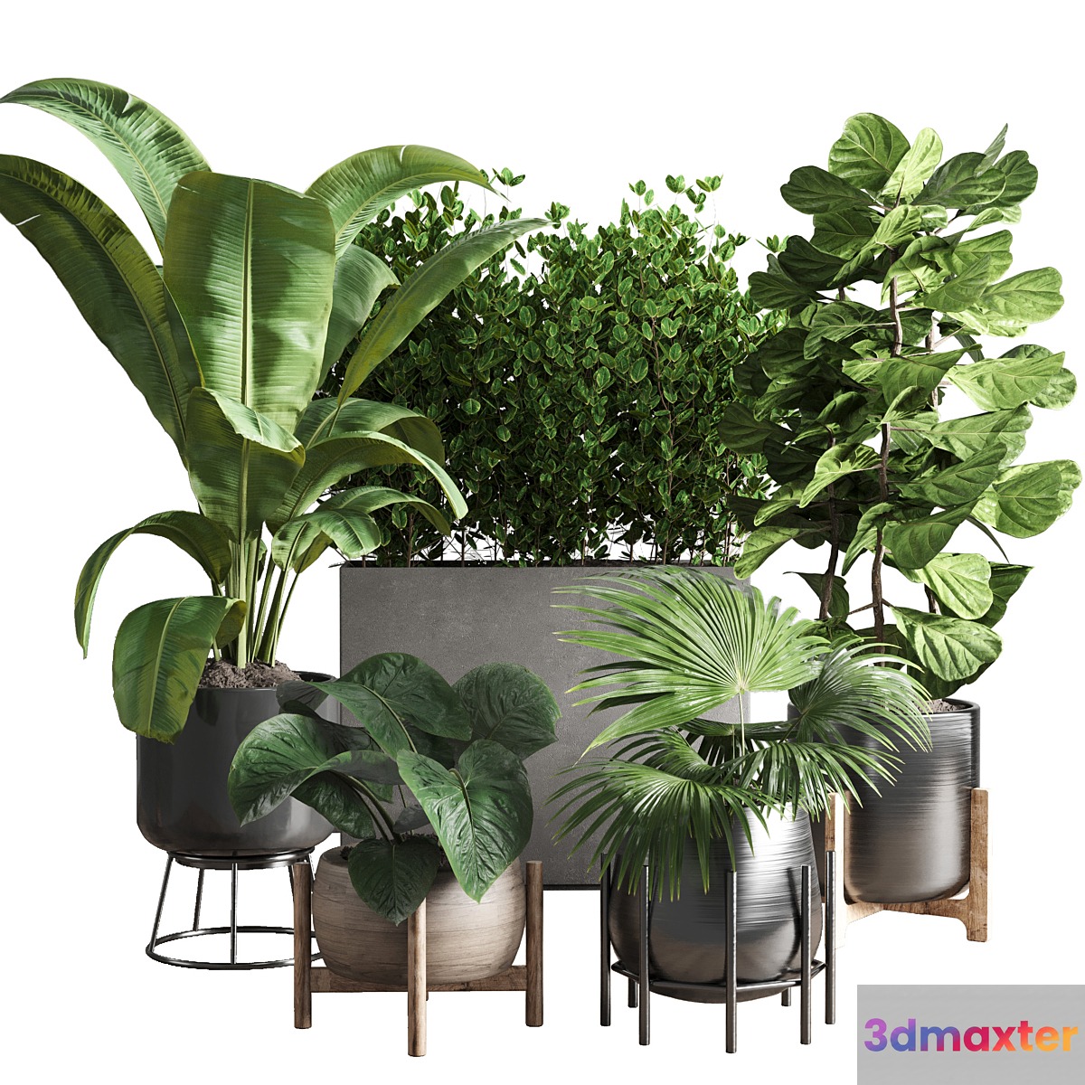 collection Indoor plant 43 vase 3D Max