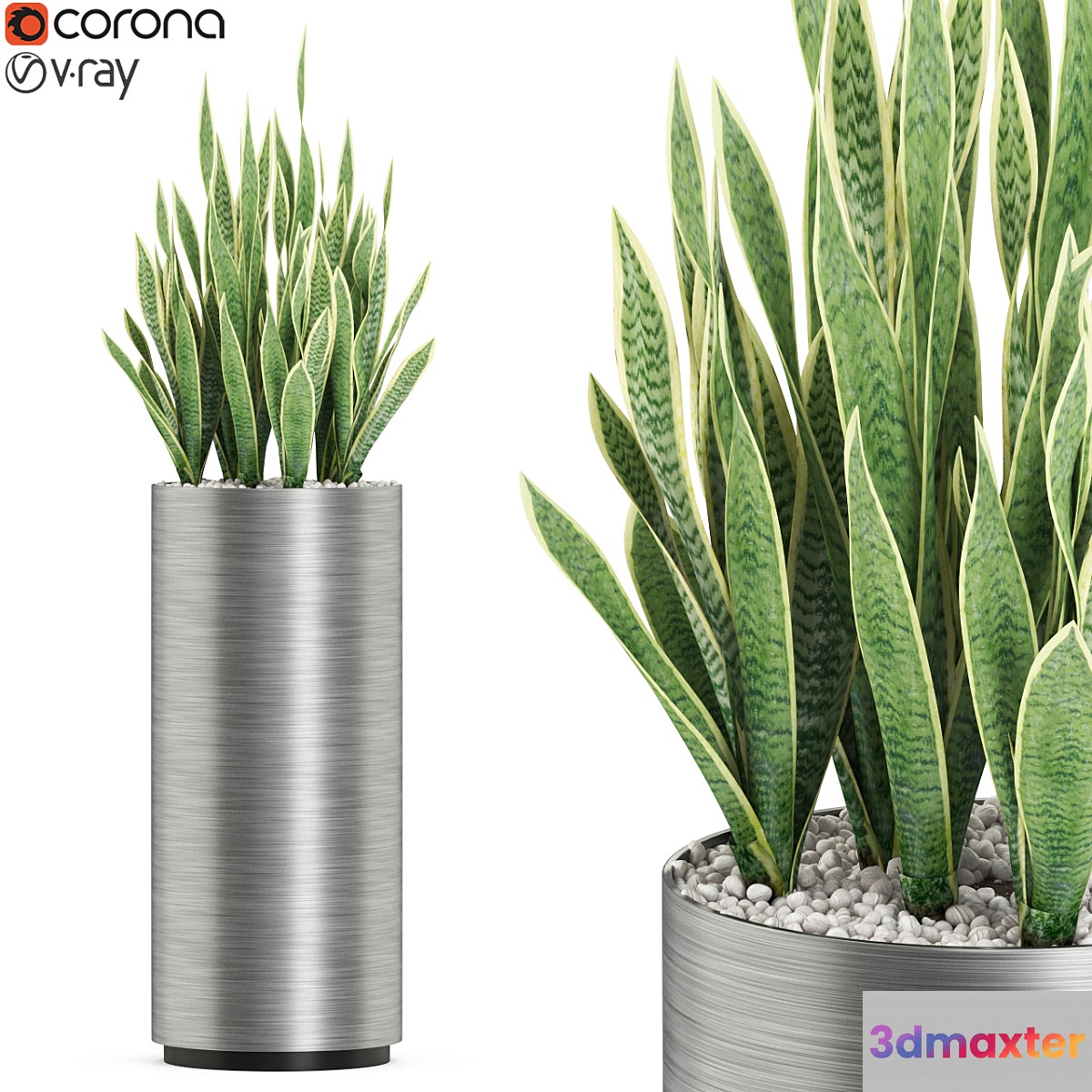 Plants collection 506