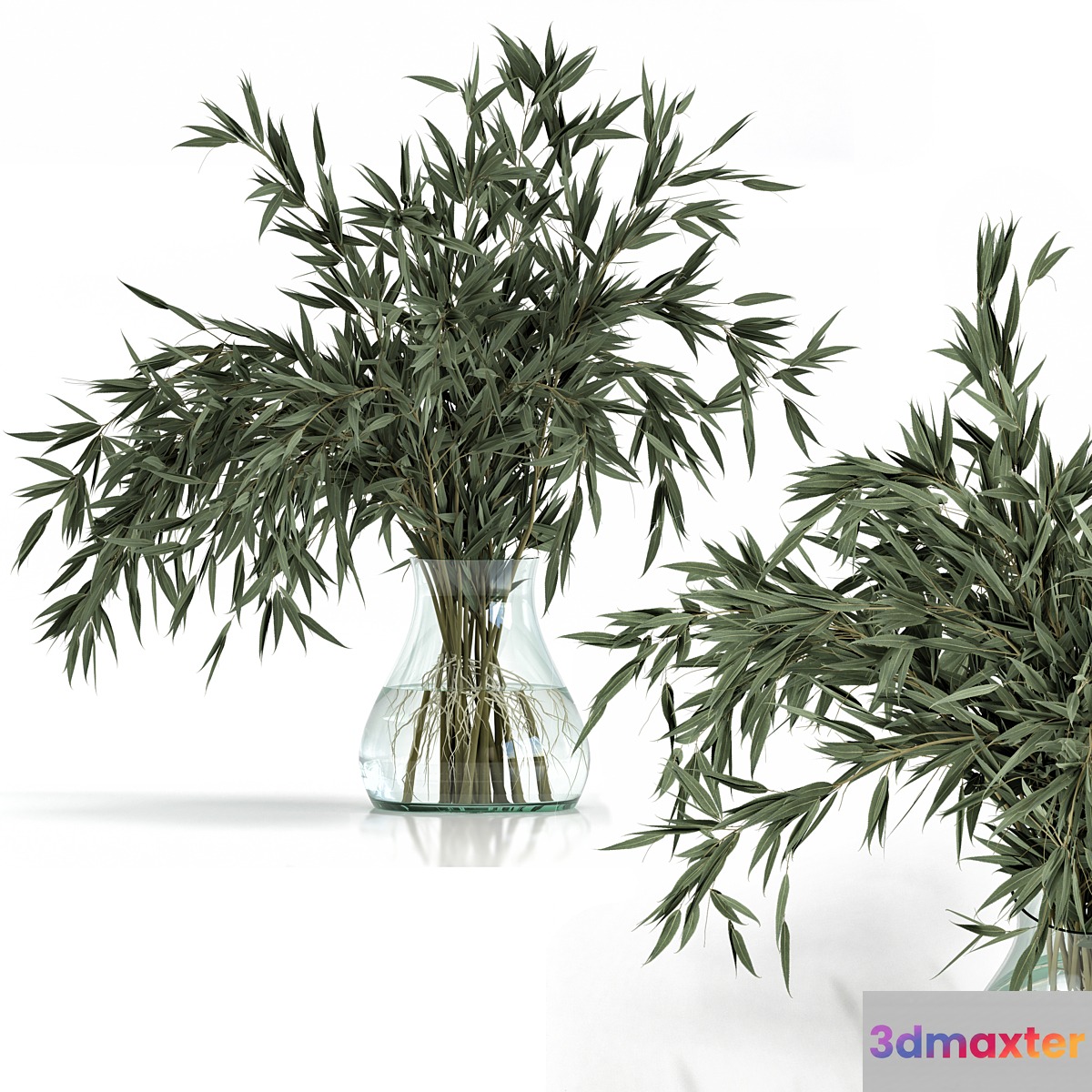 Green Branch in vase - Bouquet 003