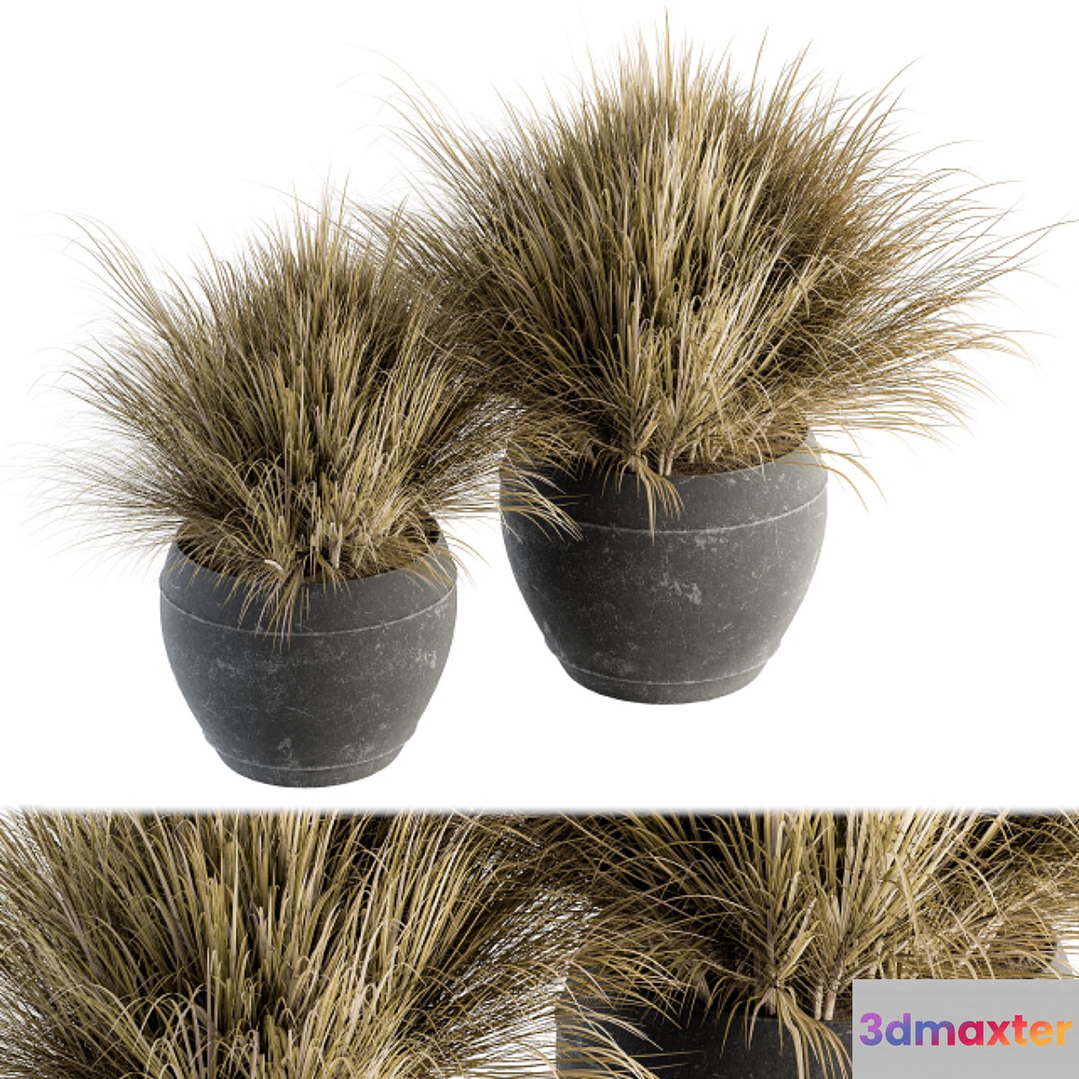 Outdoor Plant Set 204 - Dried Grass in Pot - No.2