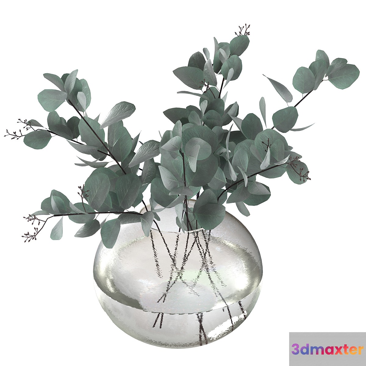 Eucalyptus bouquet 3D Max