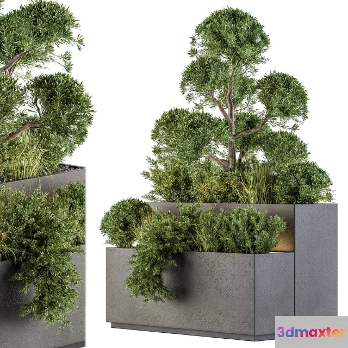 Outdoor Plant Set 214 - Plant Box 3D Max