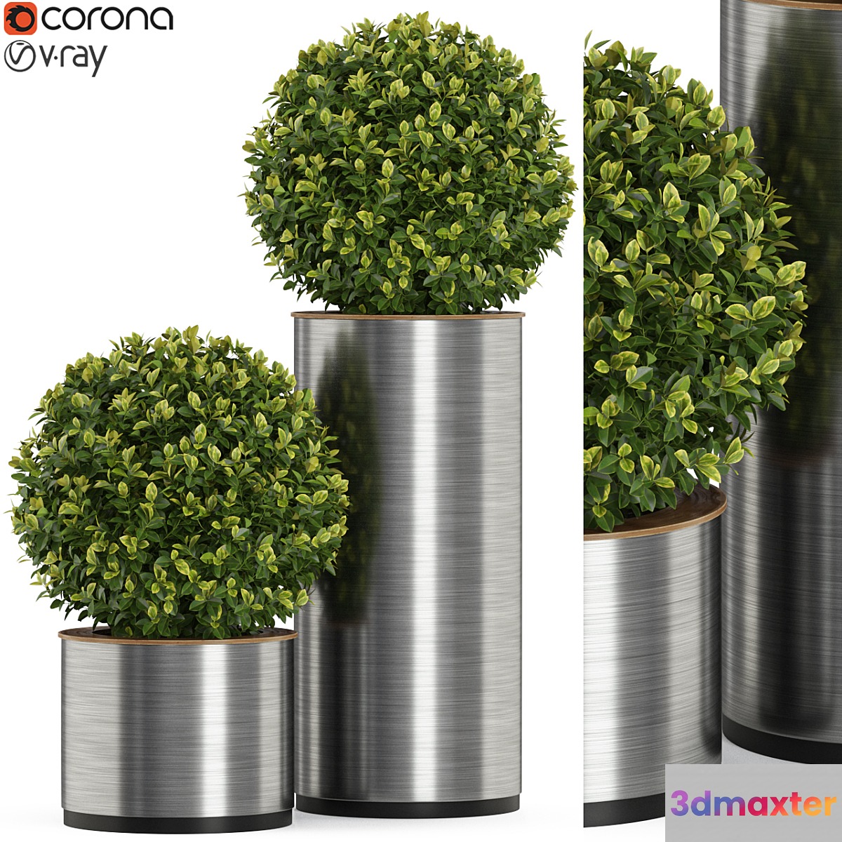 Plants collection 512 3D Max