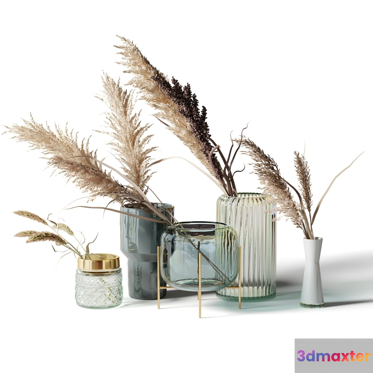 Set of 5 bouquets of dried flowers in glass vases 3D Max