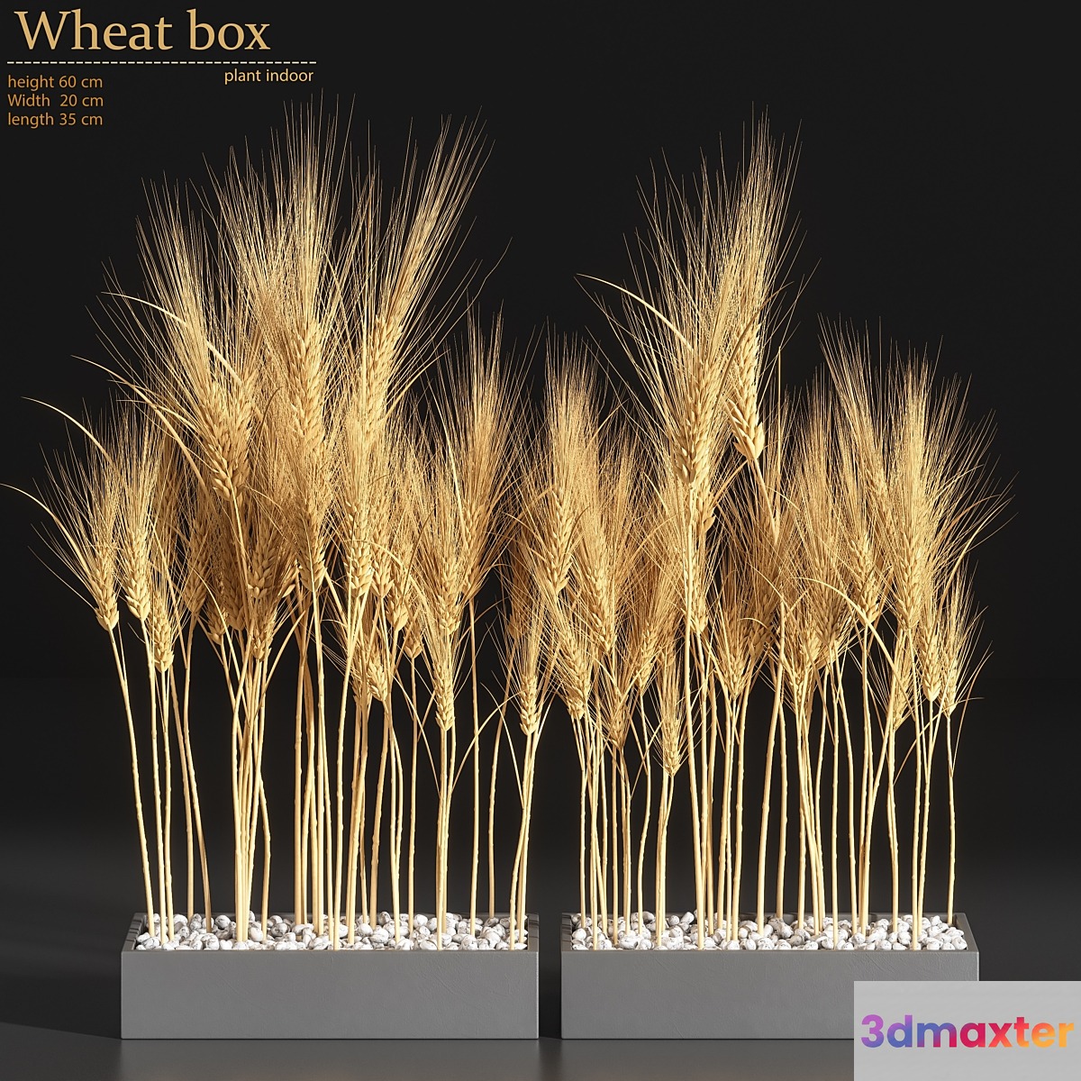 Wheat Box - No.2