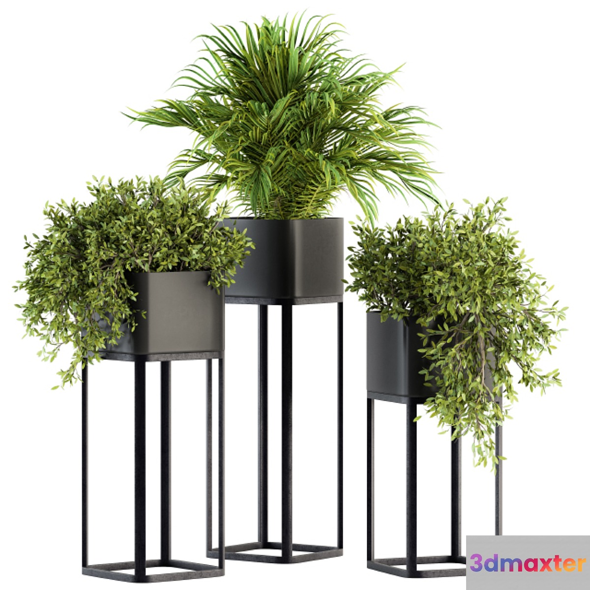 indoor Plant Set 211 - Plant Box Stand