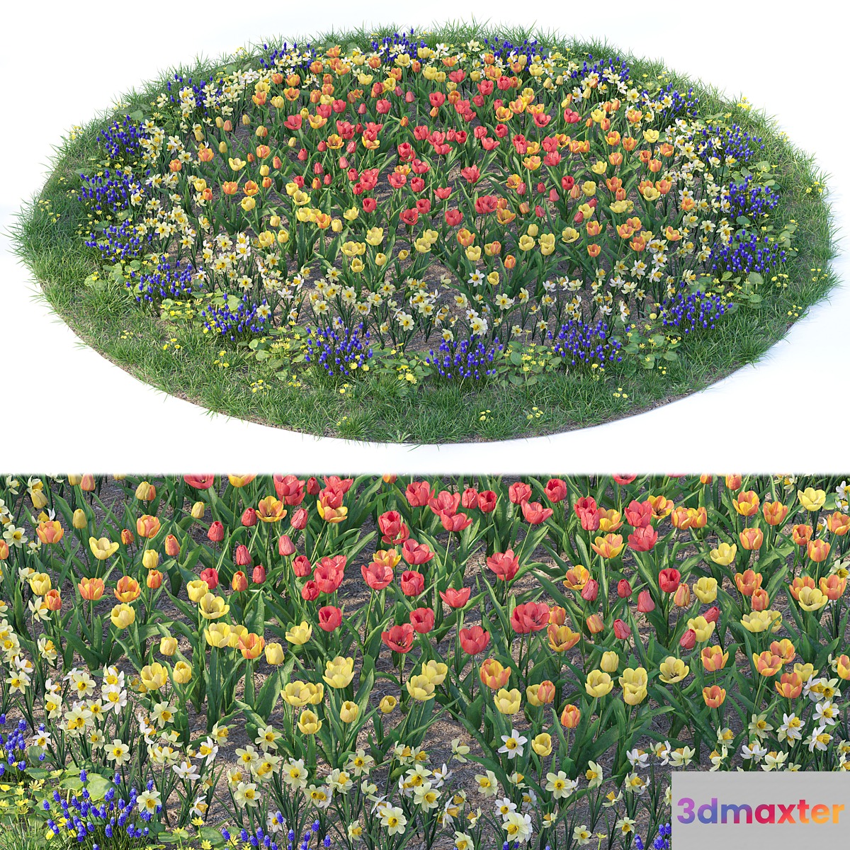 Flower garden 6 3D Max