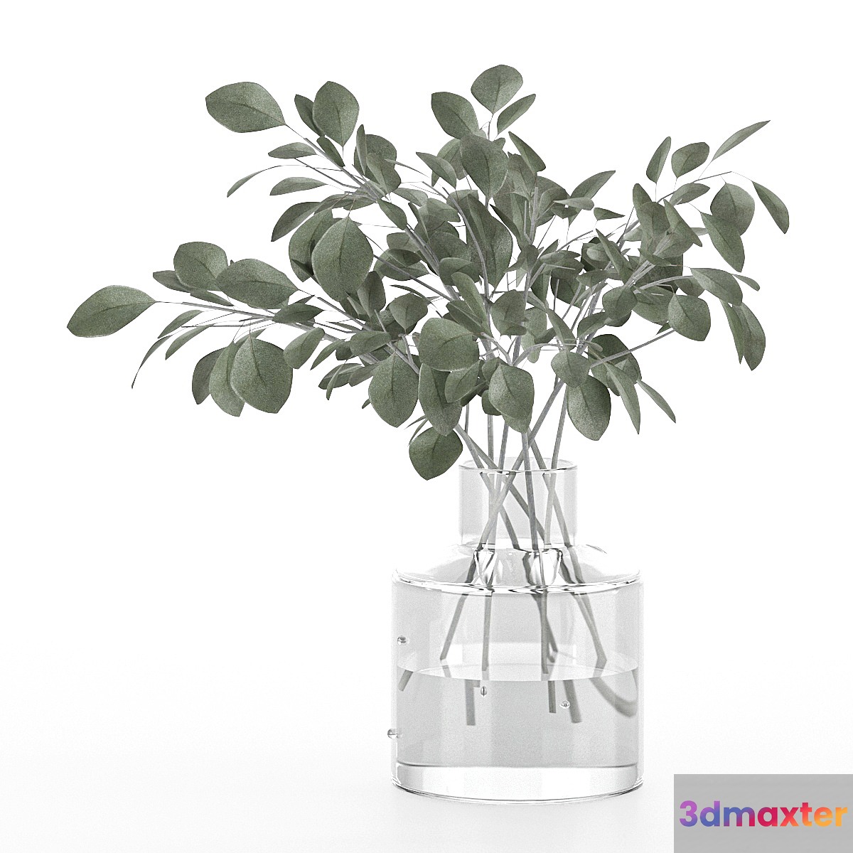 indoor eucalyptus plant in glass vase