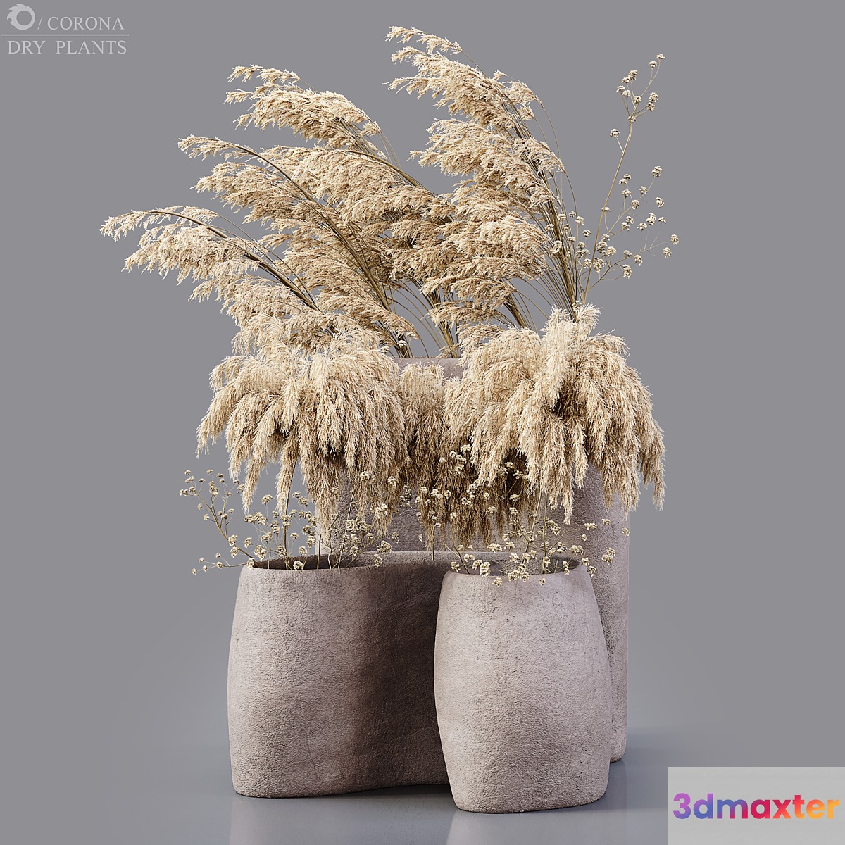Dry plants 3D Max