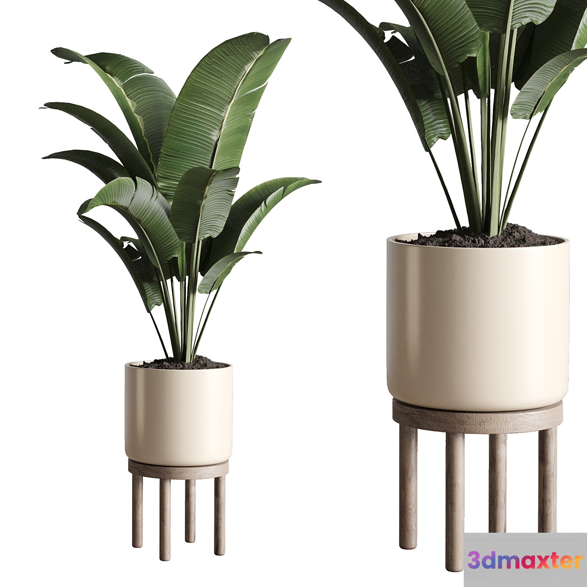 Indoor plant 48 vase wood