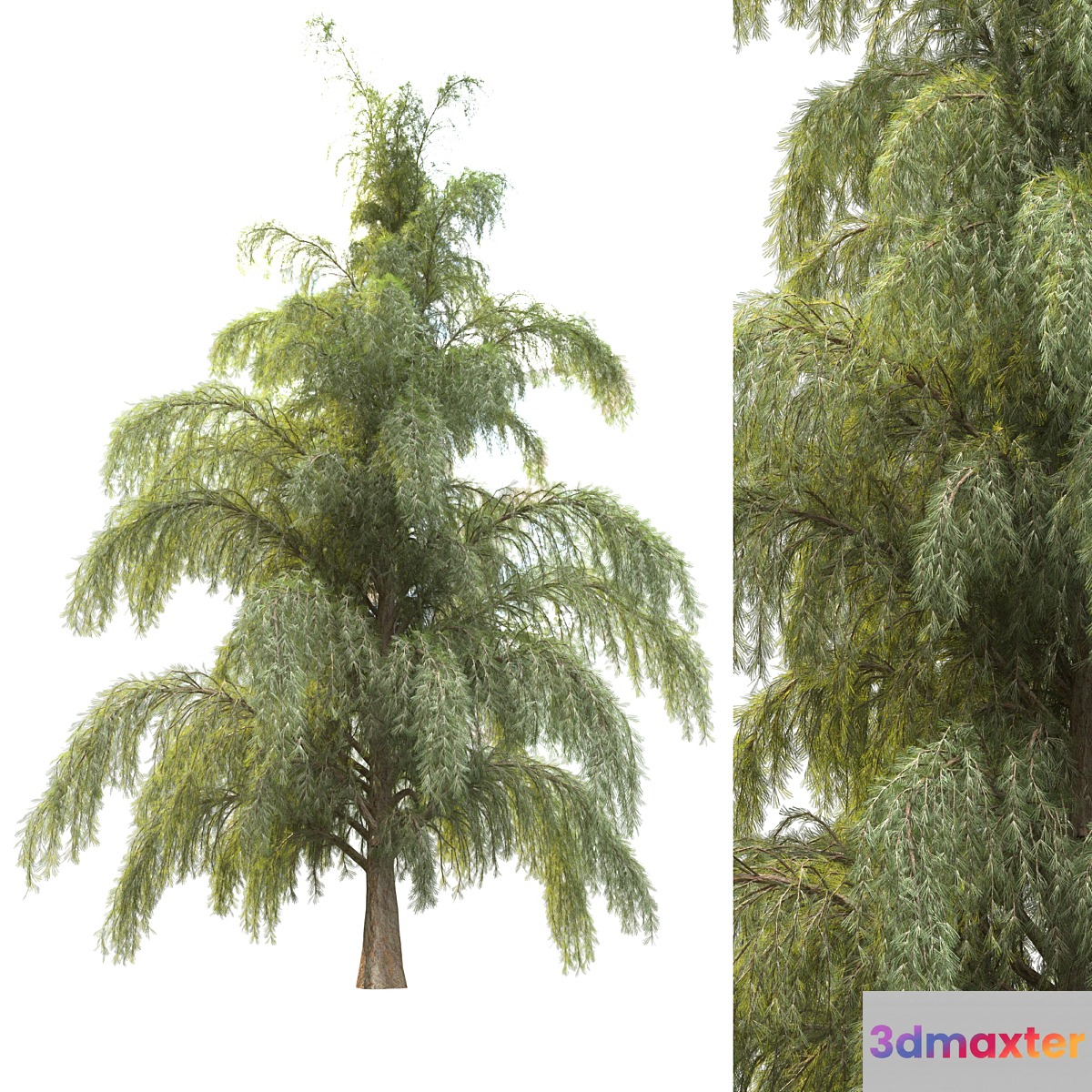 tree for landscape12 (pine tree) 3D Max