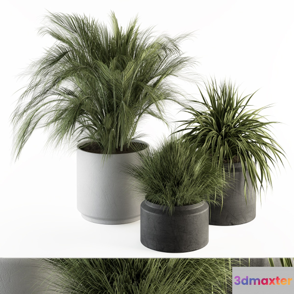 indoor Plant Set 223 - Plant Set in pot 3D Max