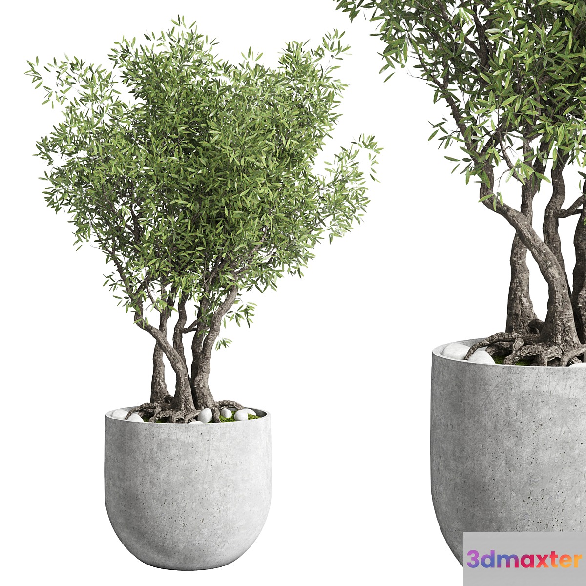 Outdoor plant 28 concrete vase 3D Max