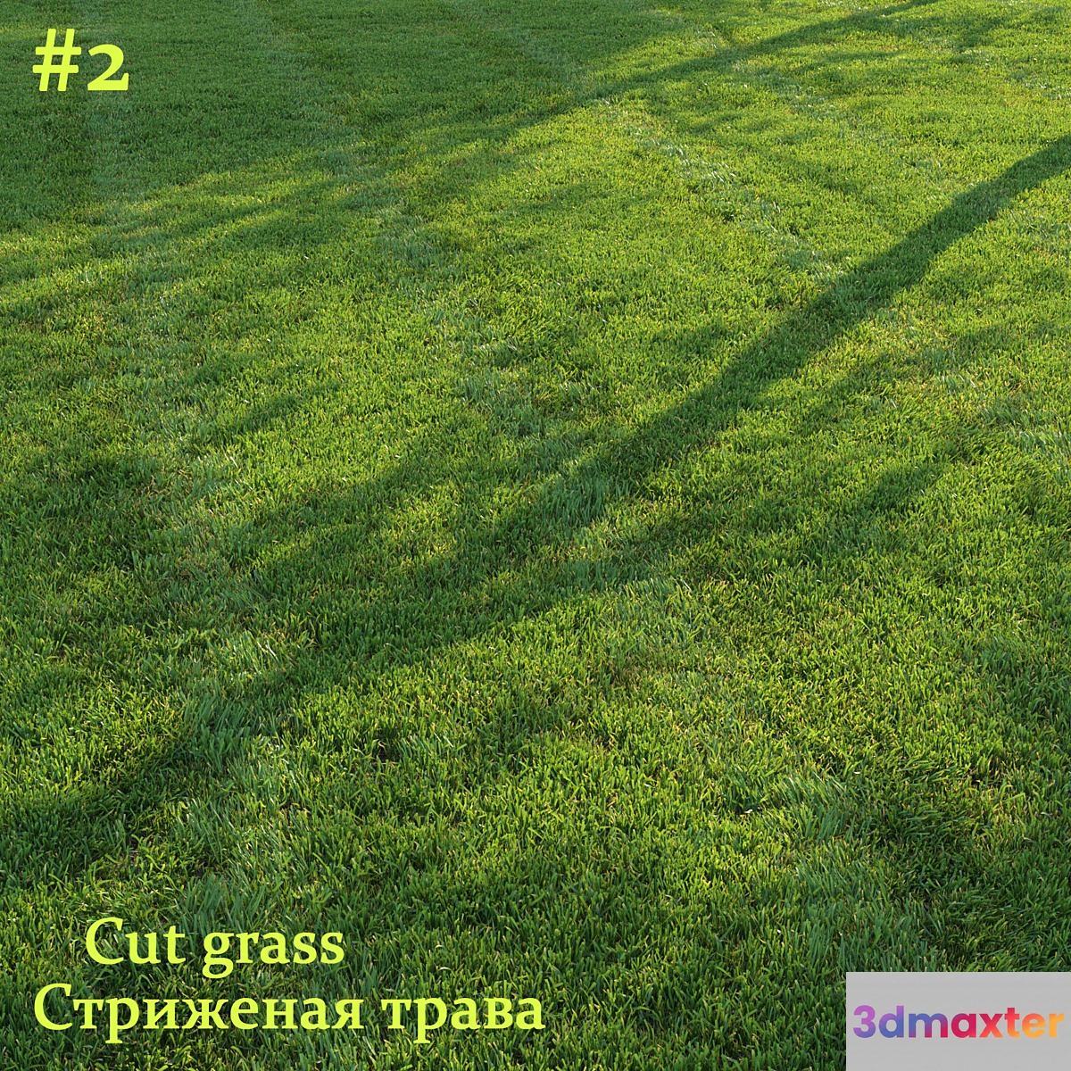 Cut grass #2 3D Max