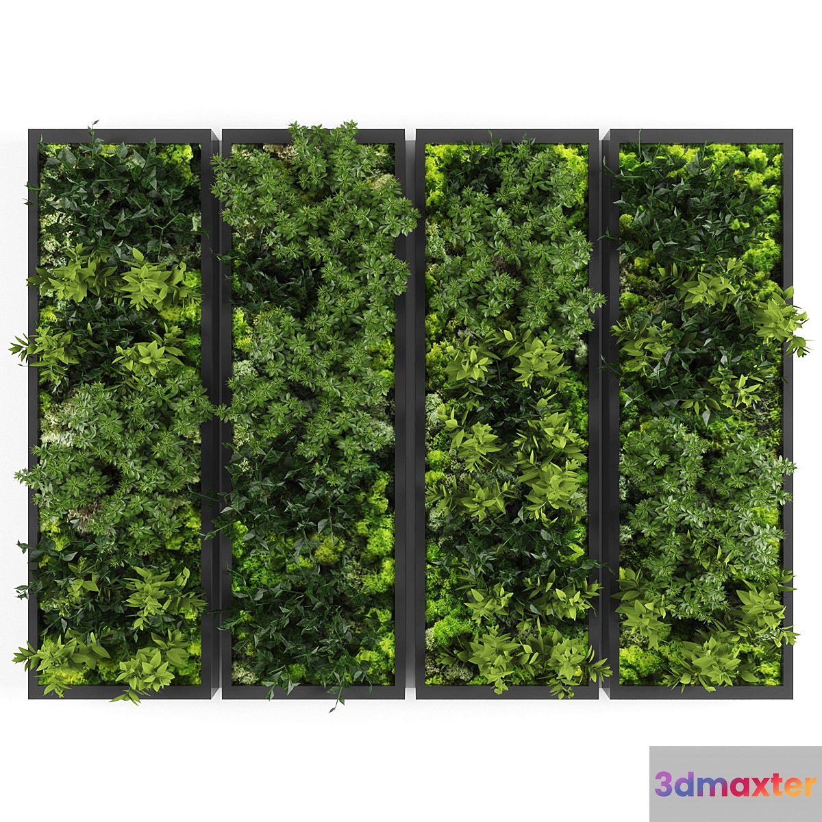 Vertical garden148