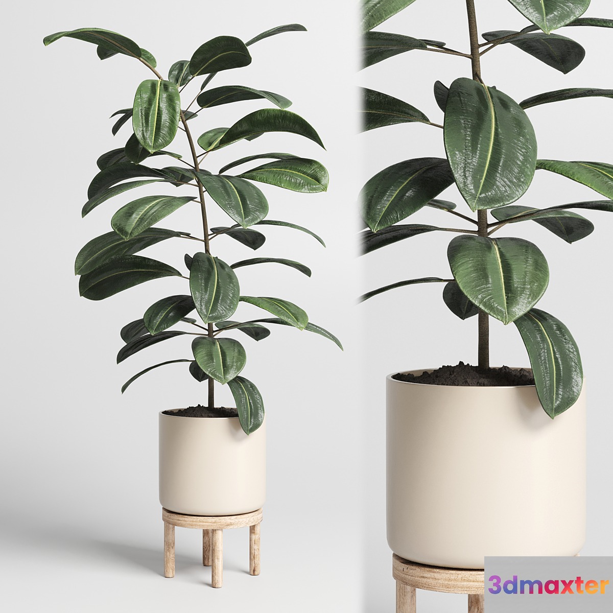 Indoor plant 53 vase wood - No.3