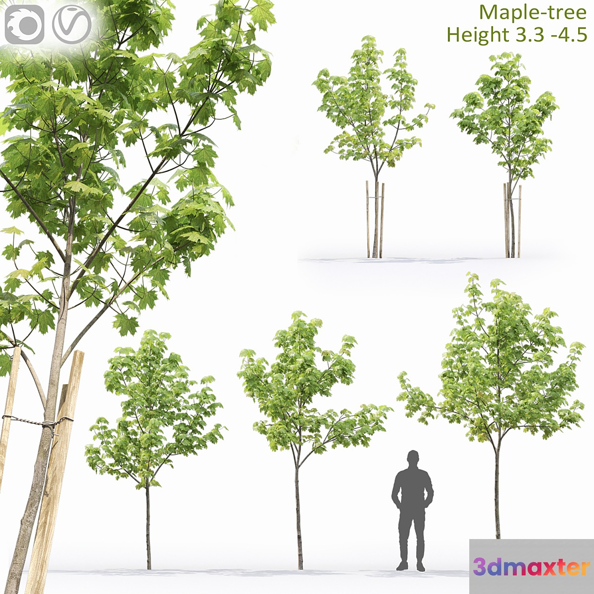 Acer - No.4 3D Max
