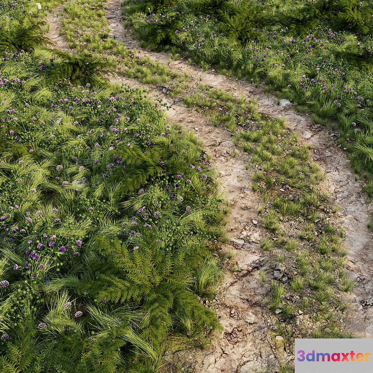 Field road 3D Max