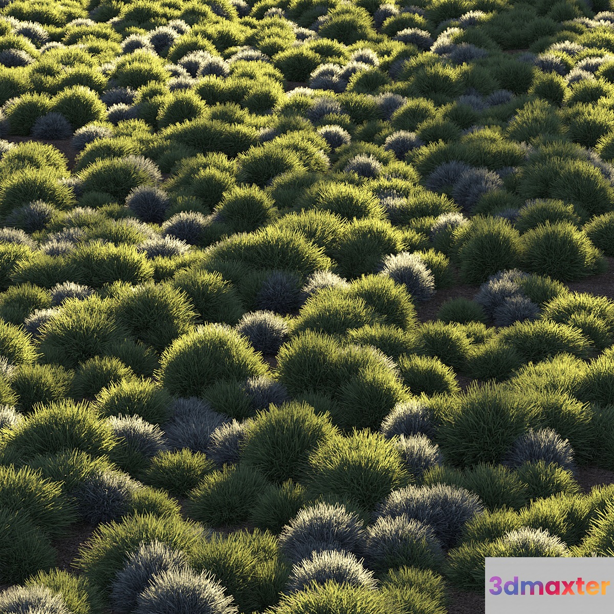 Round grass